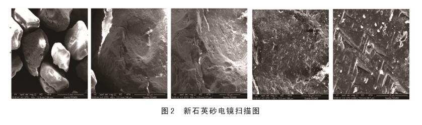 圖2新石英砂電鏡掃描圖