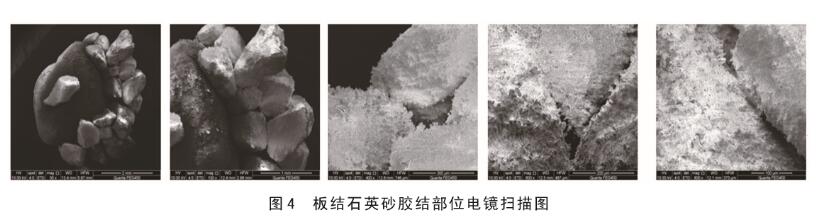 圖4板結(jié)石英砂膠結(jié)部位電鏡掃描圖